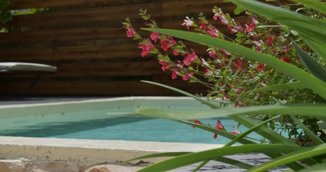 Guest house La Maison Bourgeoise - Adults Only Hotel Pourrieres France